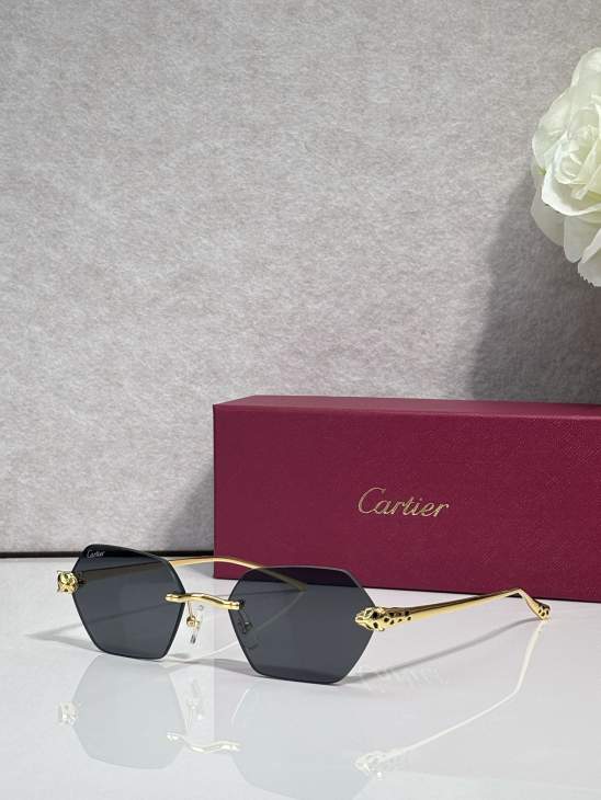 Picture of Cartier Sunglasses _SKUfw79724113fw